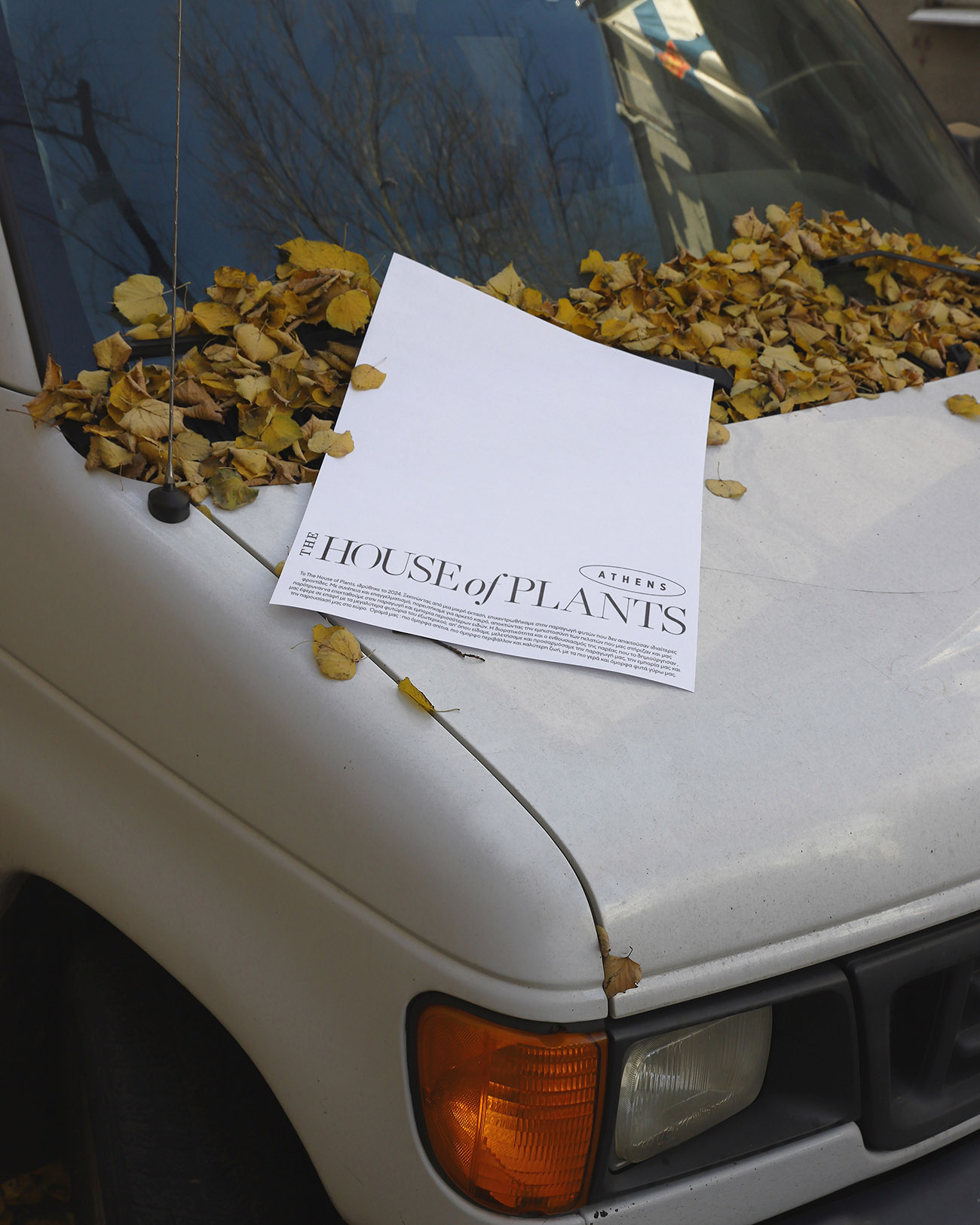 House Of Plants Athens από τον Μιχάλη Μαυράκη – freelancer γραφίστας στην Αθήνα | mavrakis.design