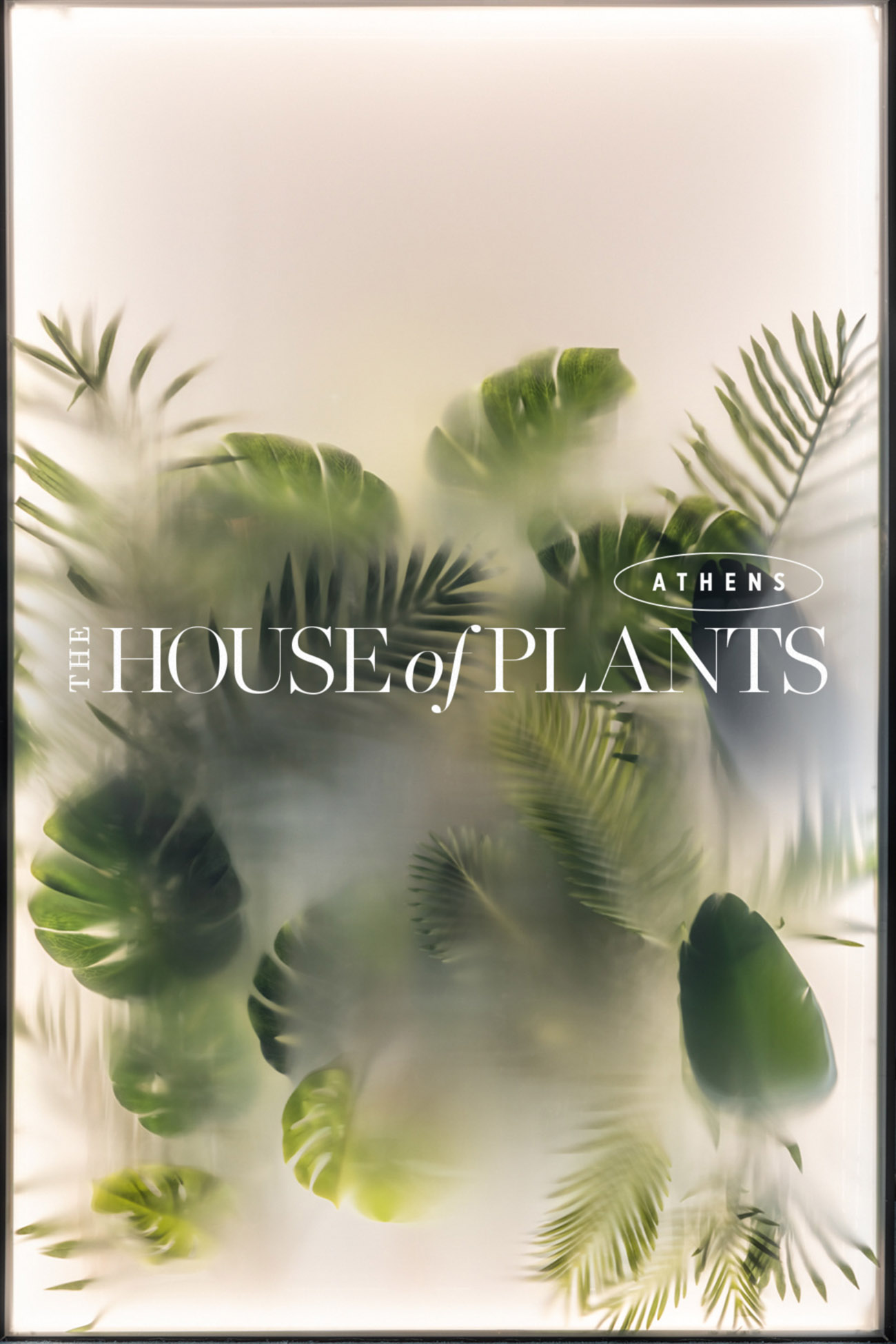 House Of Plants Athens από τον Μιχάλη Μαυράκη – freelancer γραφίστας στην Αθήνα | mavrakis.design